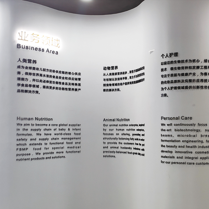 企業(yè)文化墻-企業(yè)榮譽